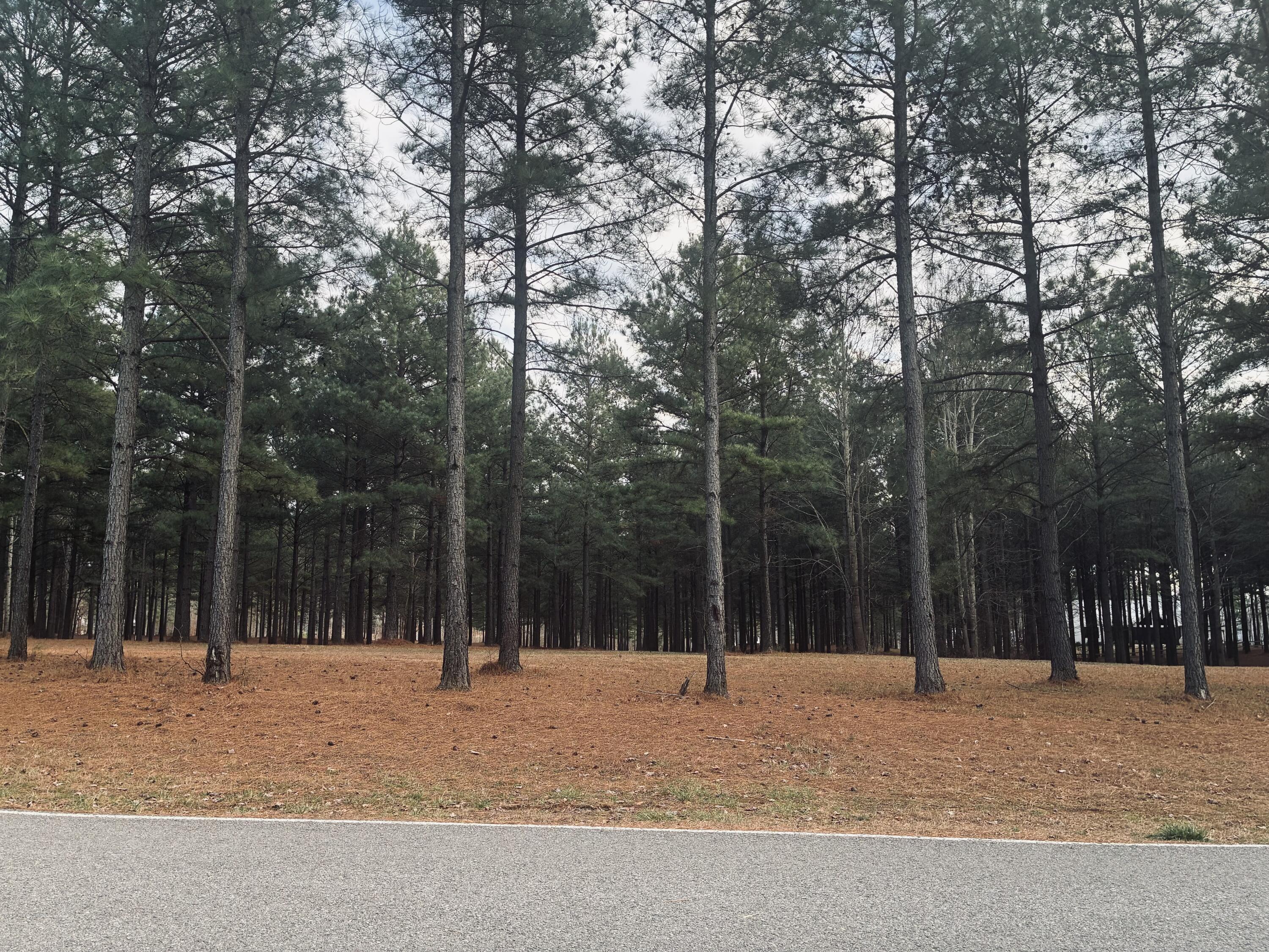 820 Cumberland Circle, Unit SV354 Jasper, TN 37347 - Photo 2 of 55 IMG_4210