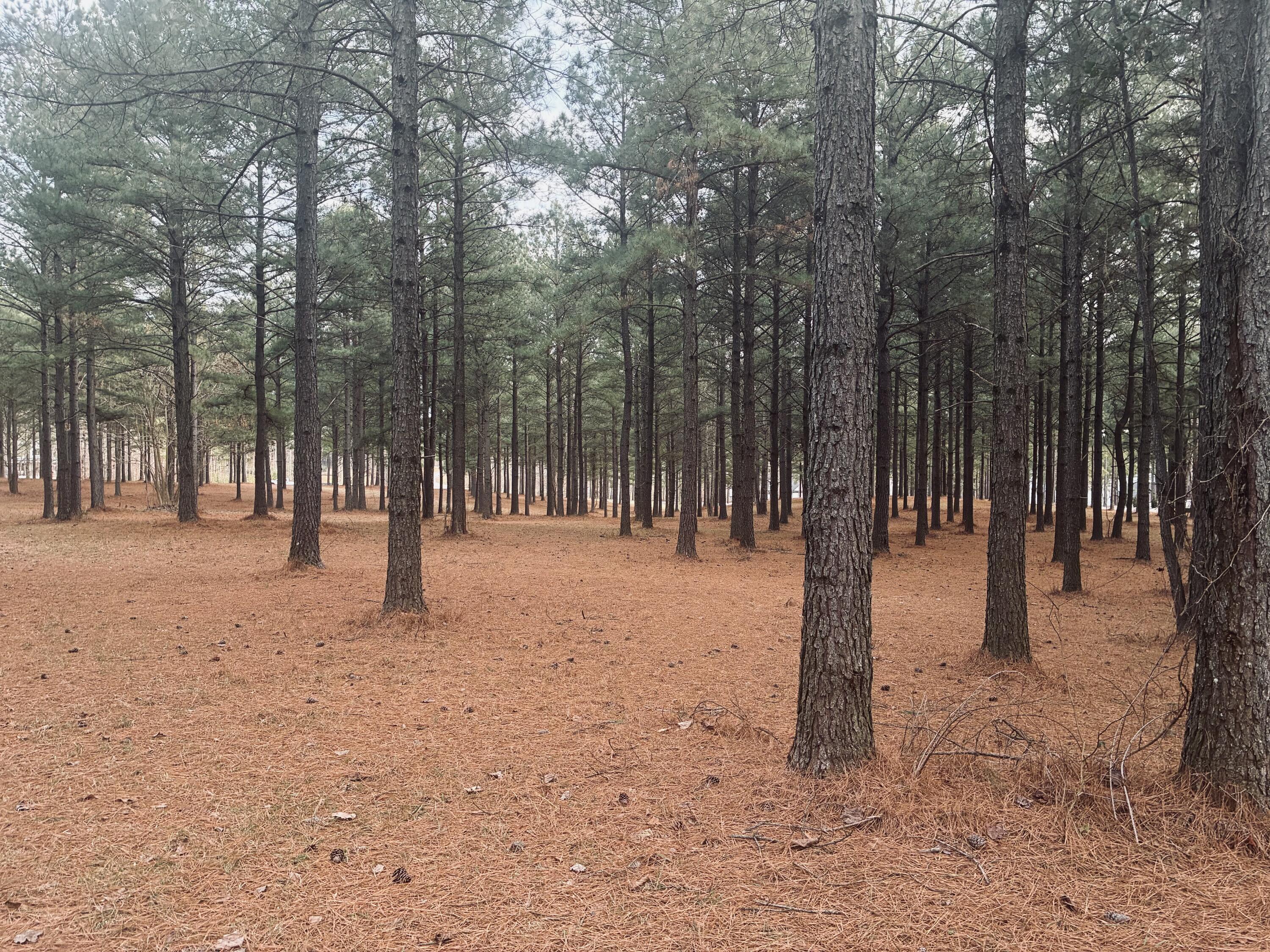 820 Cumberland Circle, Unit SV354 Jasper, TN 37347 - Photo 6 of 55 IMG_4216