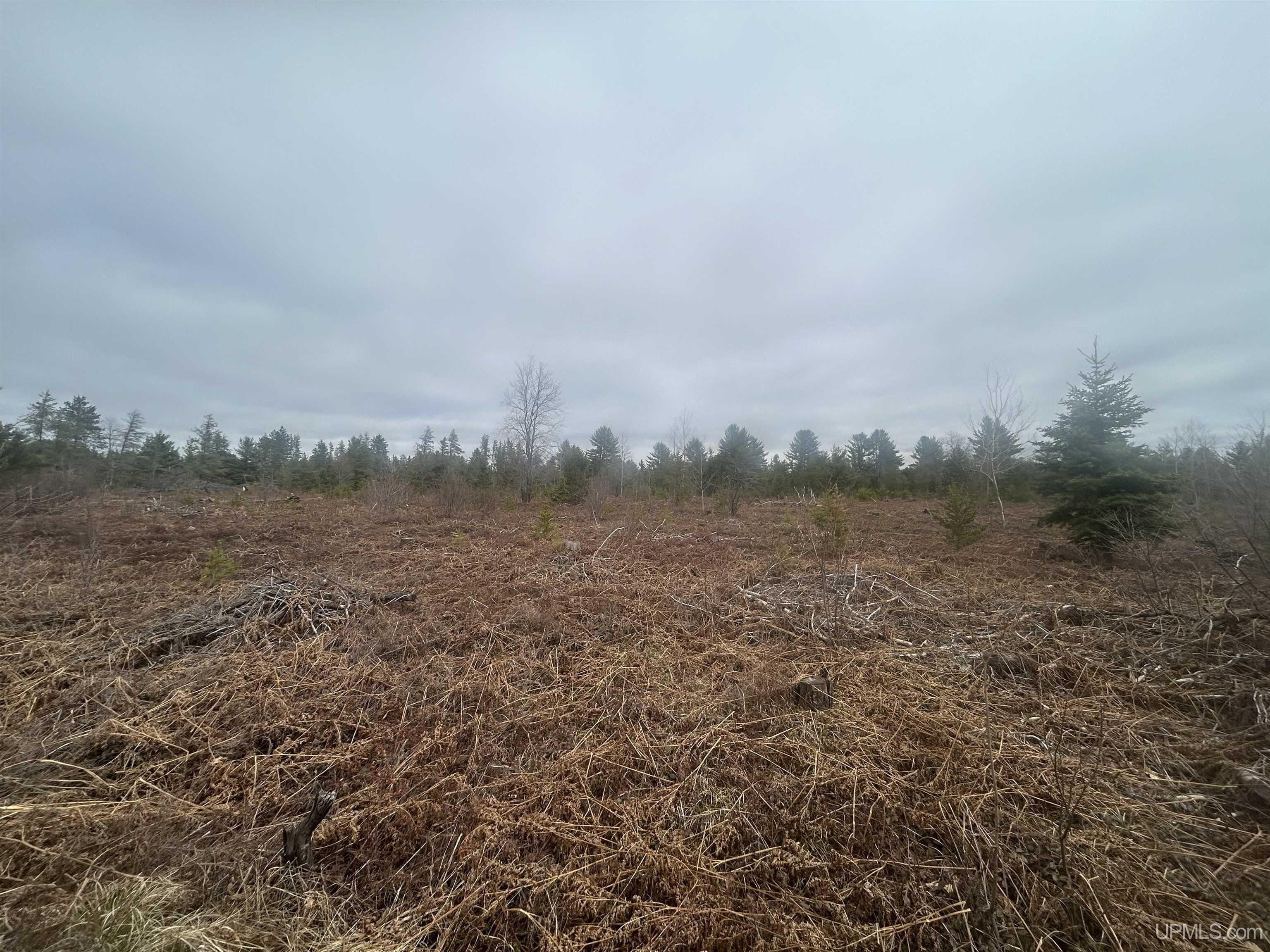 Parcel 2-off Parcel 2-off Johnson Lake Road Gwinn, MI 49841 - Photo 3 of 7