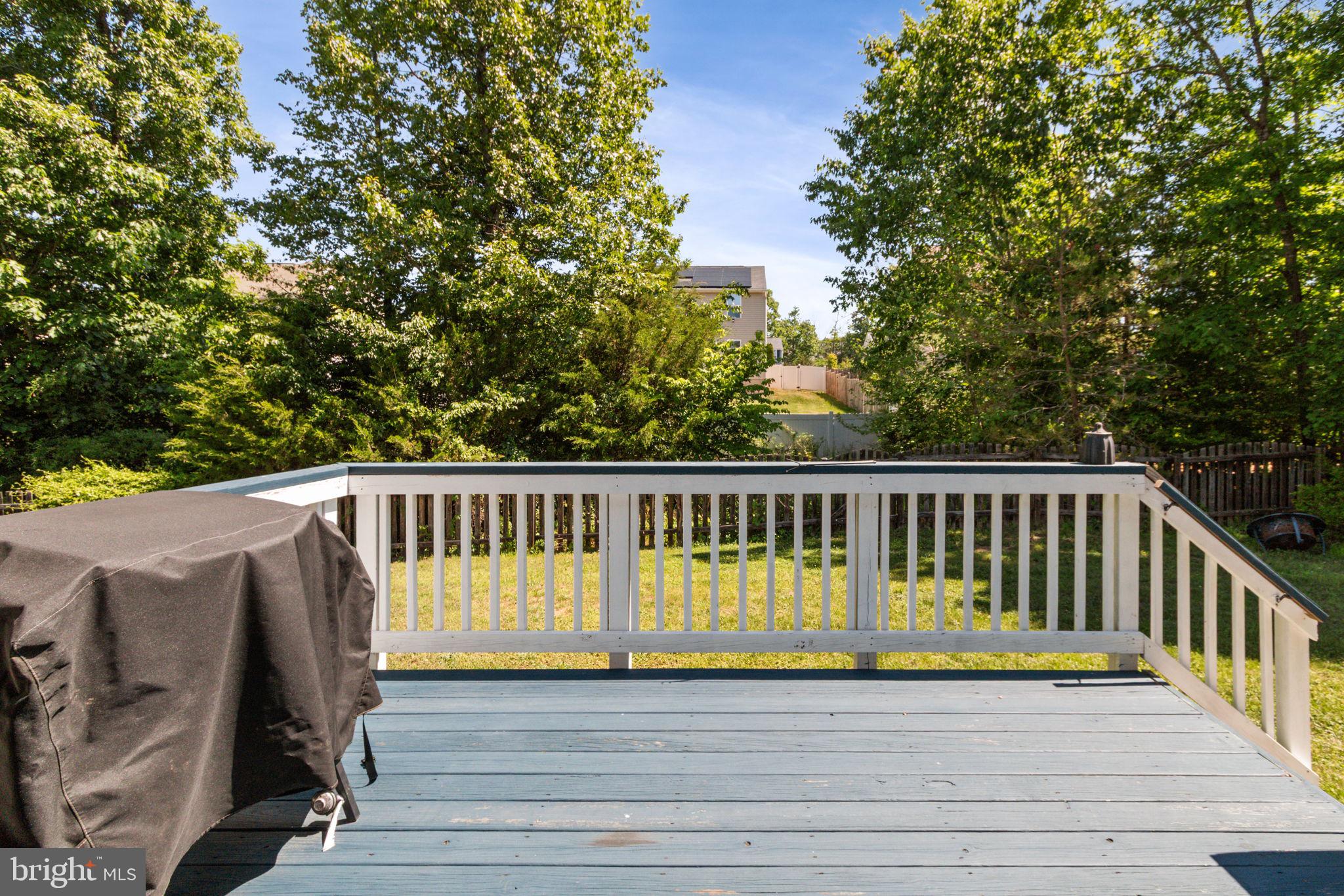 35267 Pheasant Ridge Road Locust Grove, VA 22508 - Photo 48 of 54