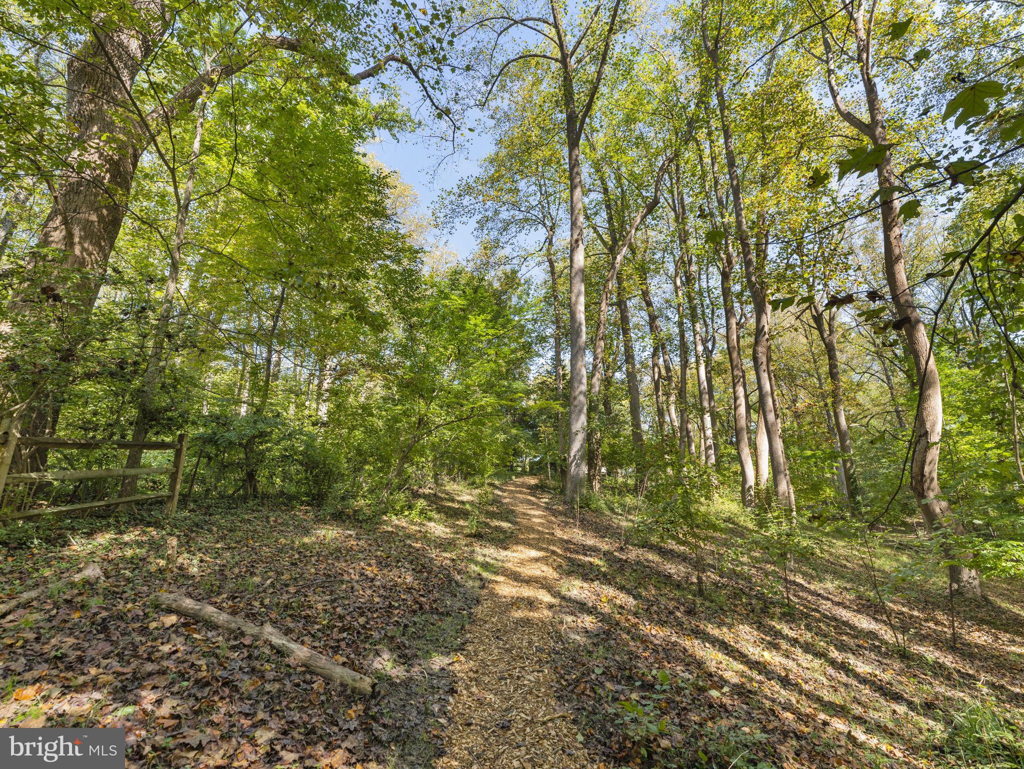 10815 Swains Lock Road Potomac, MD 20854 - Photo 79 of 94 Private Path to Swains Lock/C&O Canal
