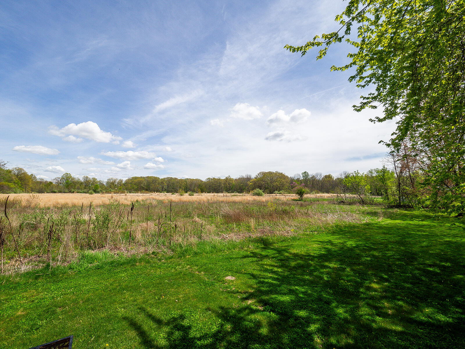 10671 California Road Bridgman, MI 49106 - Photo 2 of 2 10671 California-141