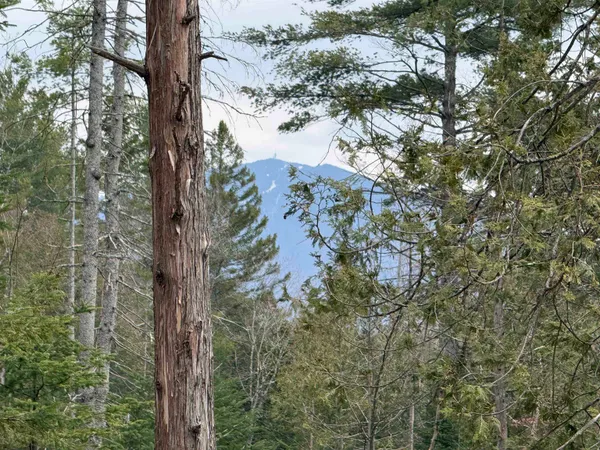 $84,900 | 0 Wheelock Road, Sutton, VT 05867