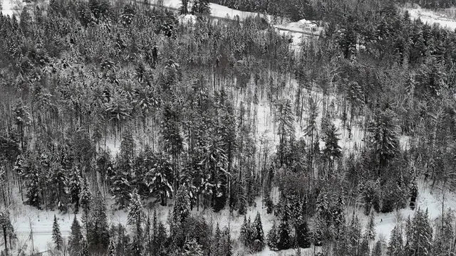 $84,900 | 0 Wheelock Road, Sutton, VT 05867