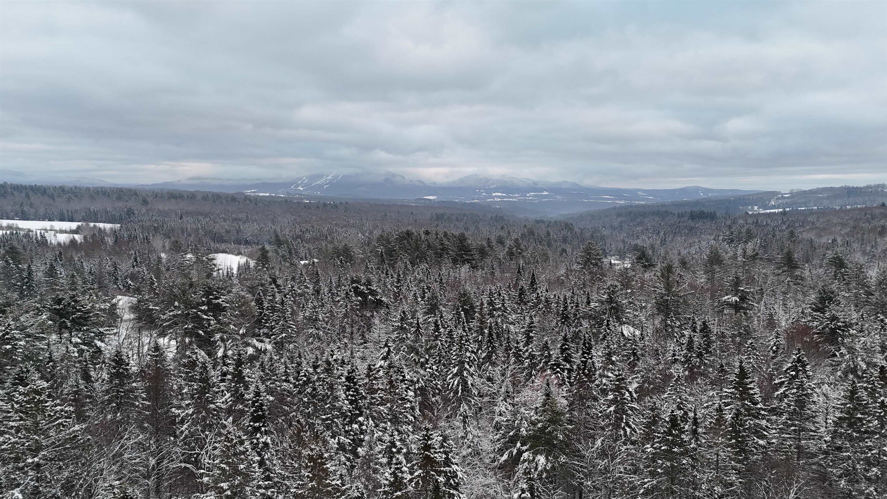 0 Wheelock Road Sutton, VT 05867 - Photo 11 of 17