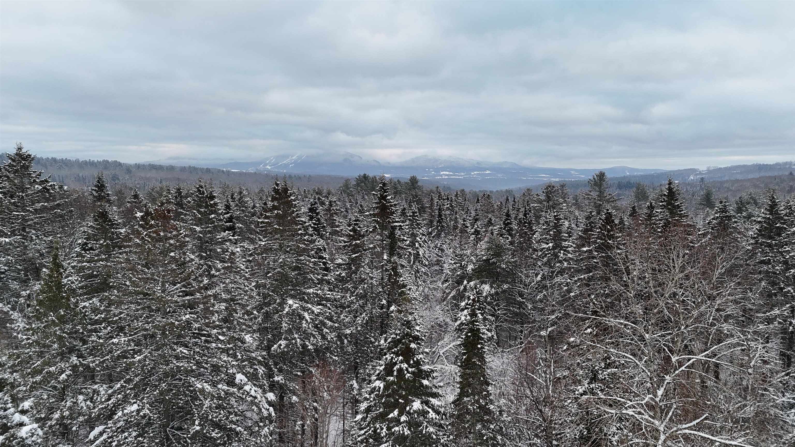 0 Wheelock Road Sutton, VT 05867 - Photo 12 of 42