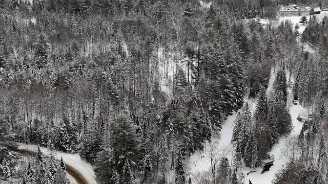 $84,900 | 0 Wheelock Road, Sutton, VT 05867