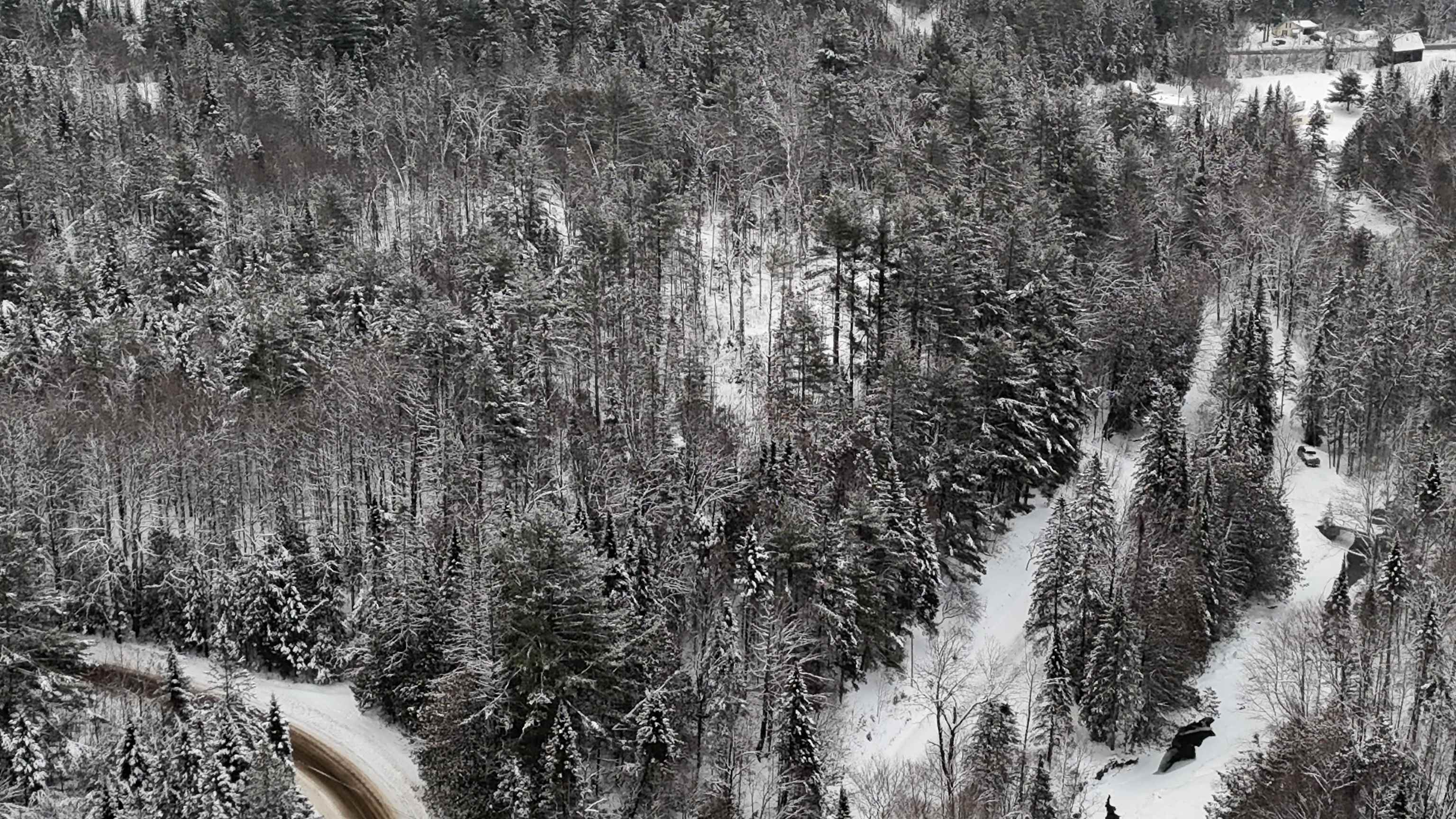 0 Wheelock Road Sutton, VT 05867 - Photo 16 of 17