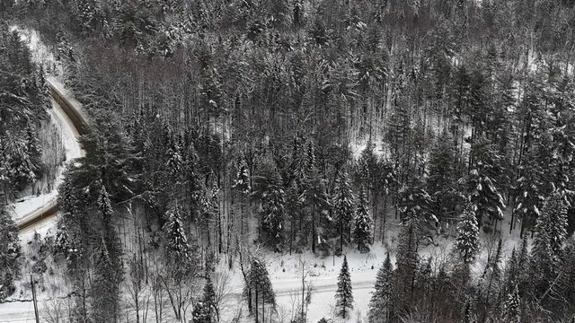 $84,900 | 0 Wheelock Road, Sutton, VT 05867