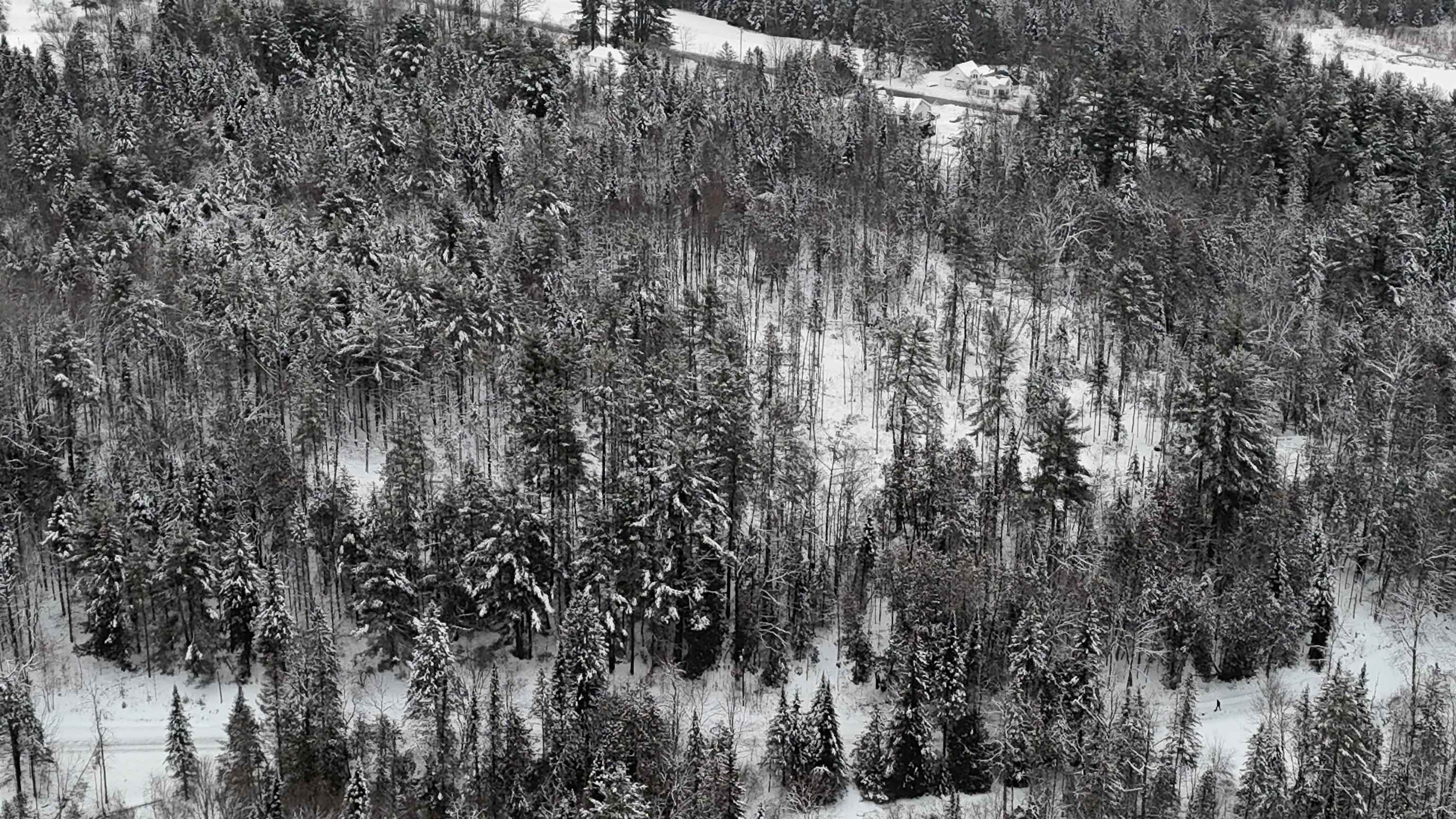 0 Wheelock Road Sutton, VT 05867 - Photo 3 of 42