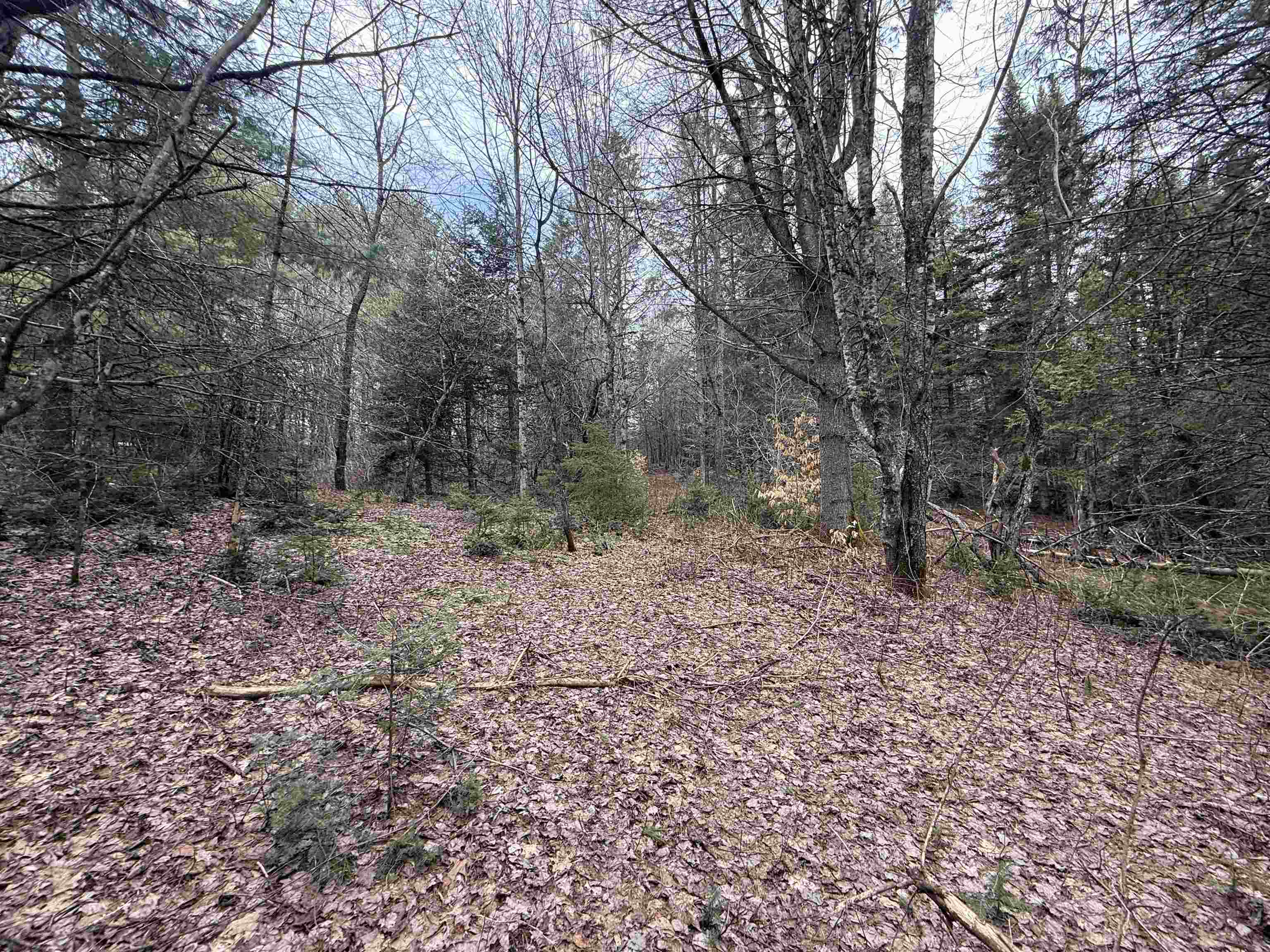 0 Wheelock Road Sutton, VT 05867 - Photo 33 of 42