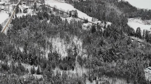 $84,900 | 0 Wheelock Road, Sutton, VT 05867