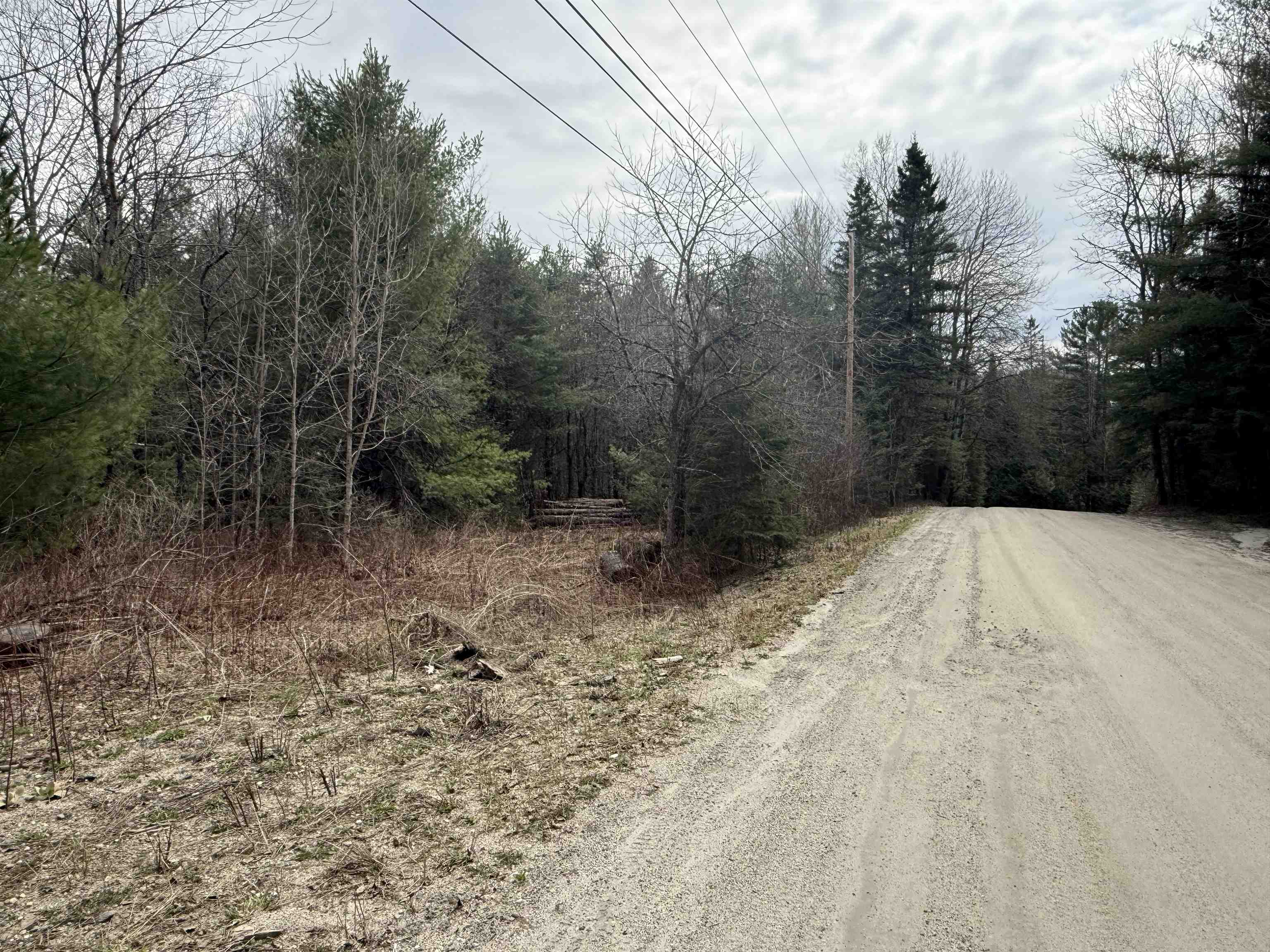 0 Wheelock Road Sutton, VT 05867 - Photo 41 of 42