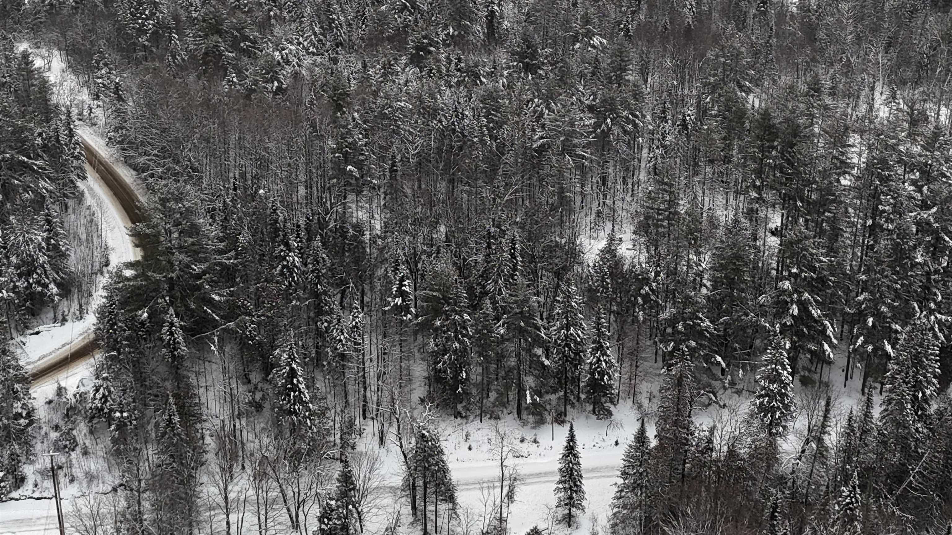0 Wheelock Road Sutton, VT 05867 - Photo 5 of 42