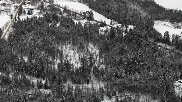 $84,900 | 0 Wheelock Road, Sutton, VT 05867