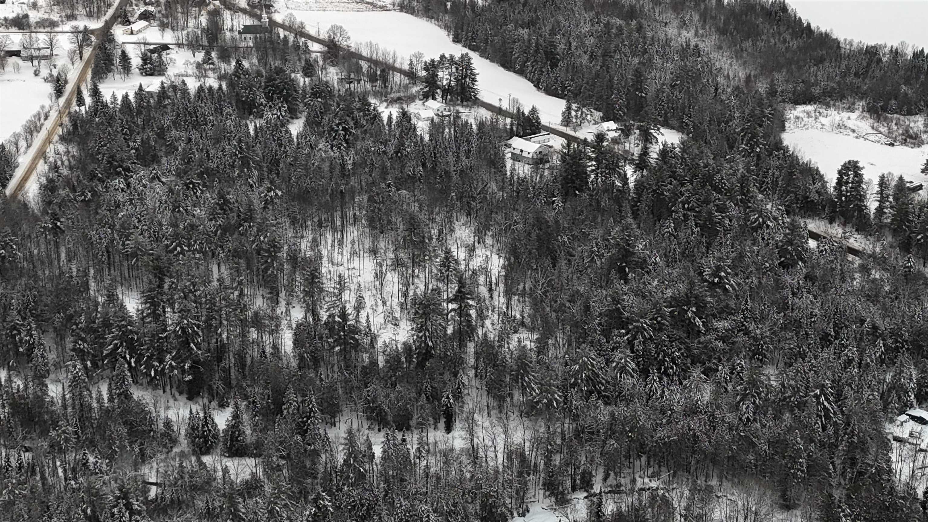 0 Wheelock Road Sutton, VT 05867 - Photo 7 of 42
