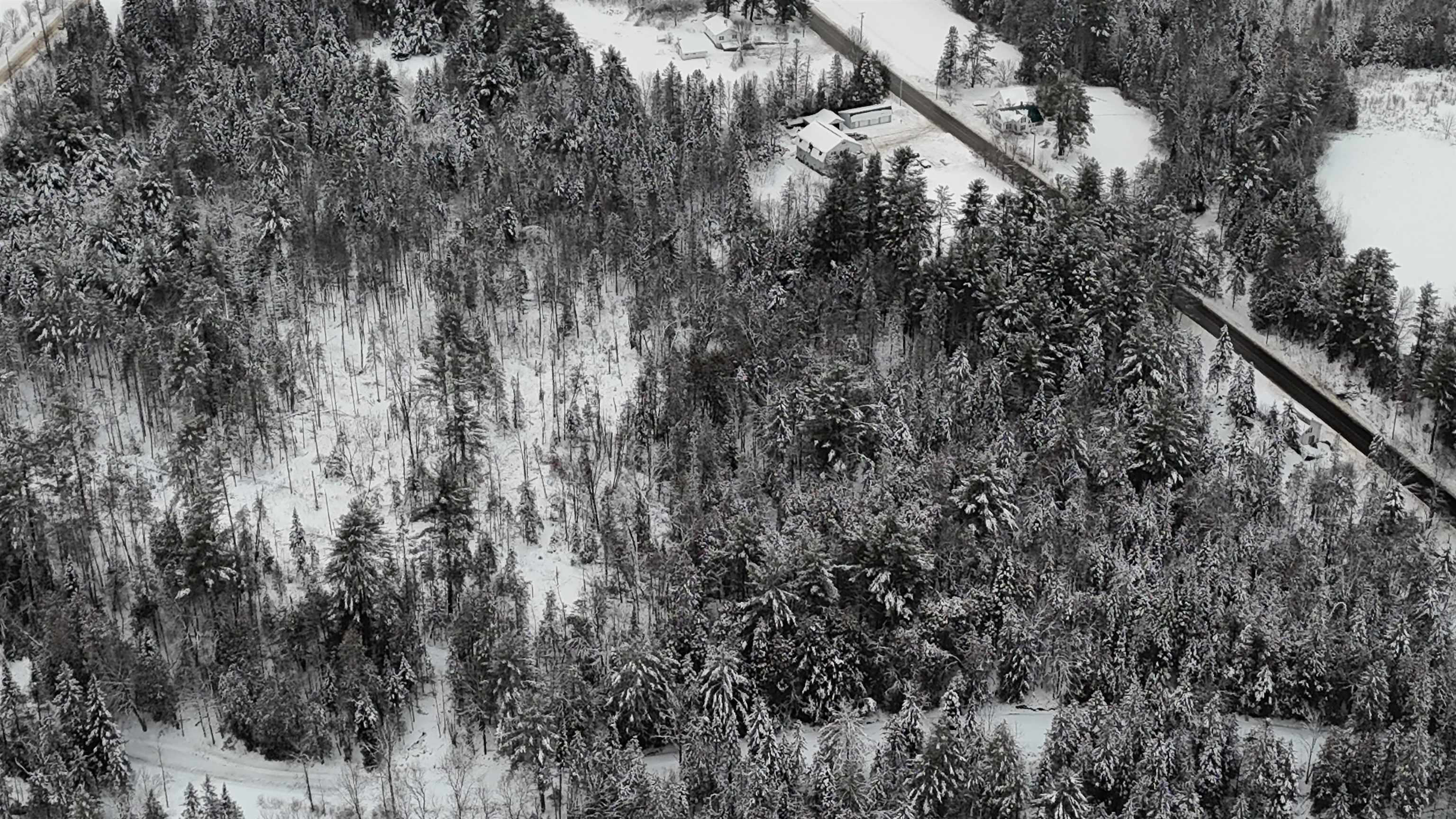0 Wheelock Road Sutton, VT 05867 - Photo 9 of 42