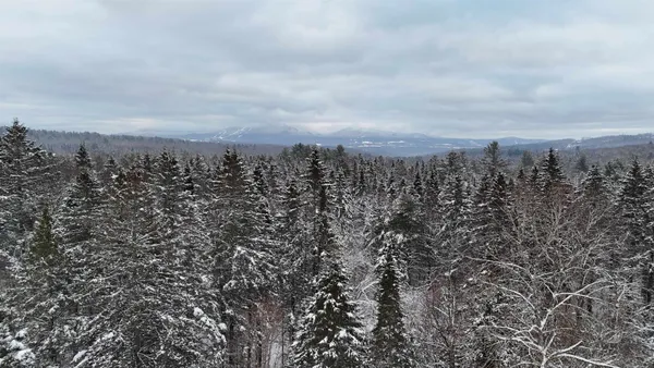 $84,900 | 0 Wheelock Road, Sutton, VT 05867