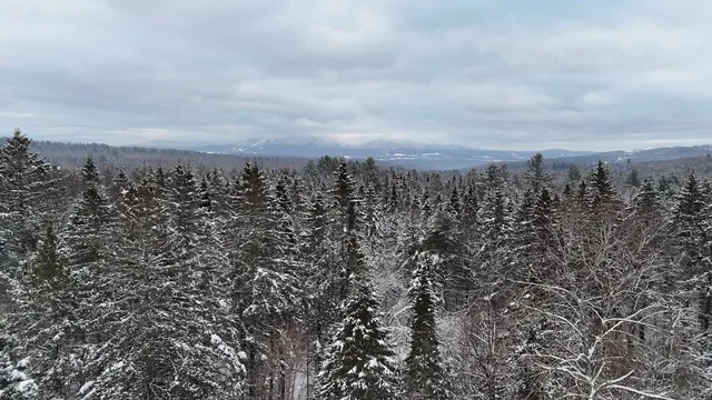 $84,900 | 0 Wheelock Road, Sutton, VT 05867