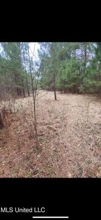 $298,000 | 580 Highway 61, Natchez, MS 39120