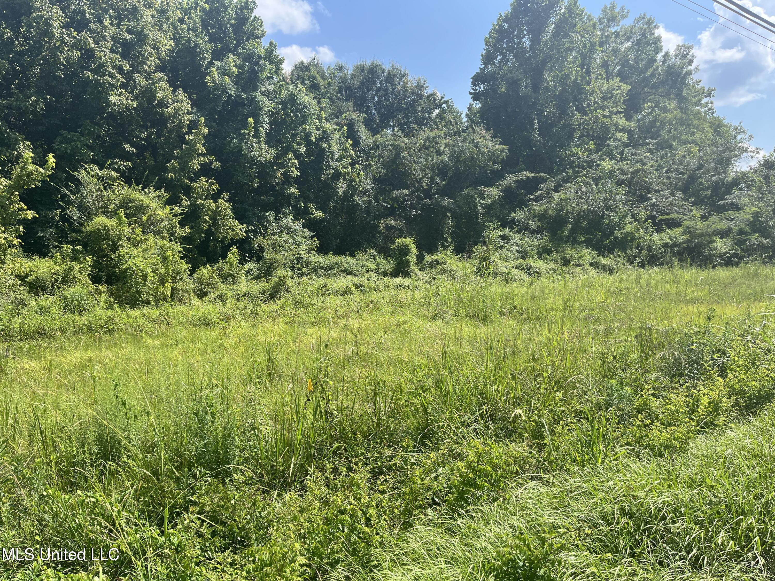 580 Highway 61 Natchez, MS 39120 - Photo 4 of 14 IMG_2440