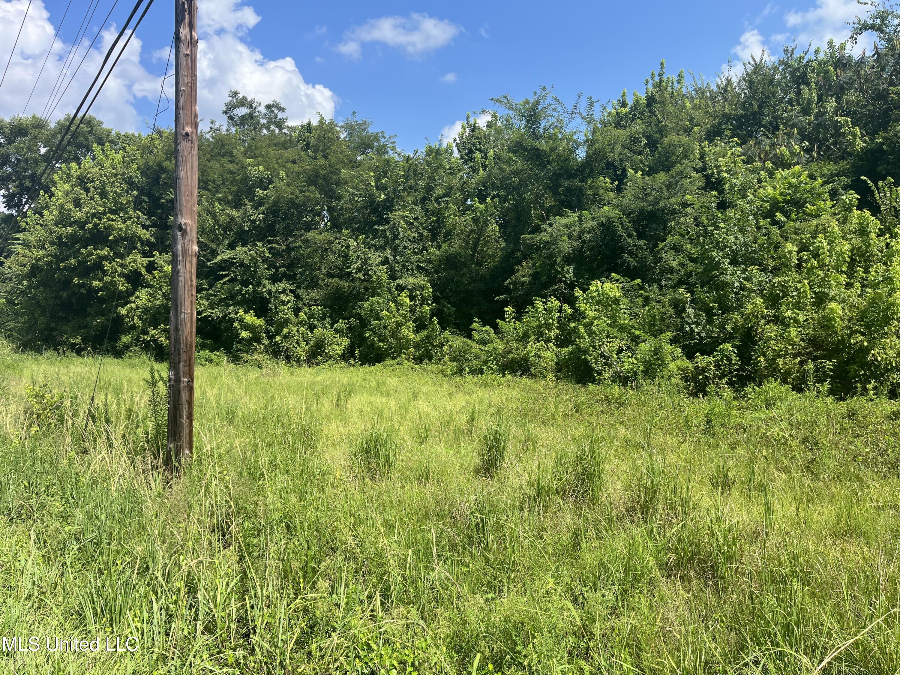 580 Highway 61 Natchez, MS 39120 - Photo 5 of 14 IMG_2441