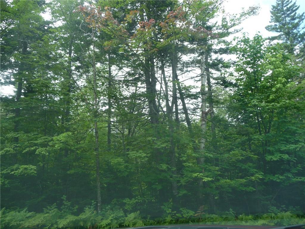 2032 Hillside Road Kingfield, ME 04947 - Photo 9 of 10 More woods