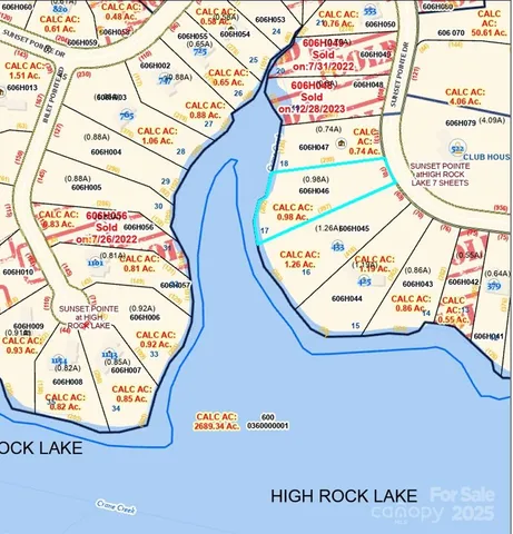 a view of a forest with trees