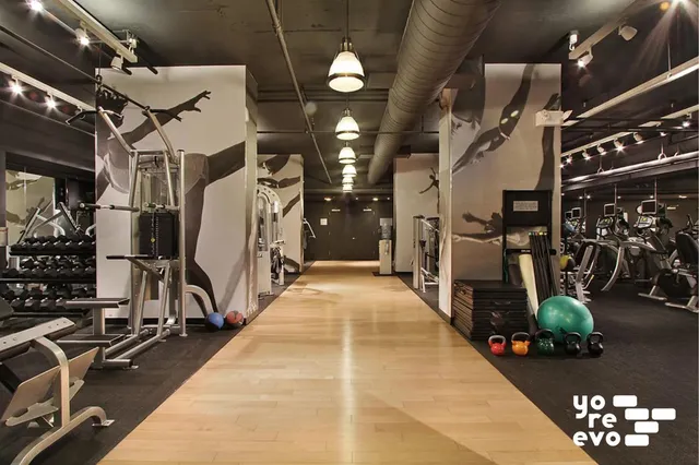 a view of a patio with couches and potted plants