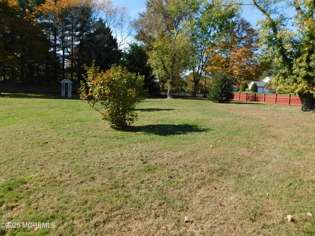 a view of a tree with a yard