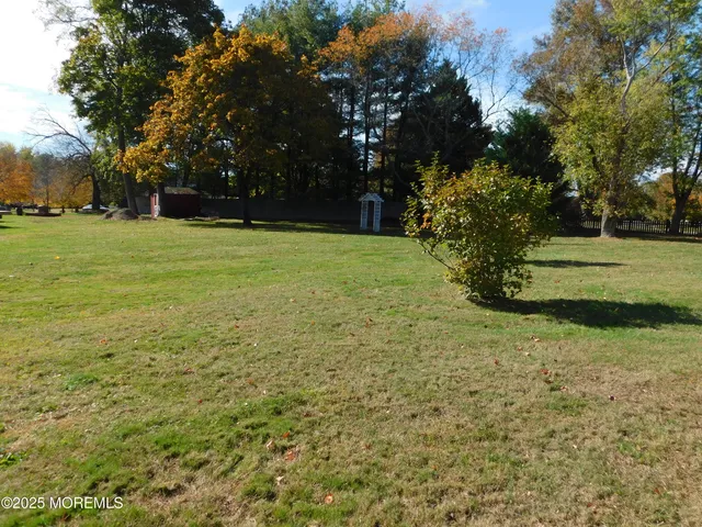 a view of a field with trees
