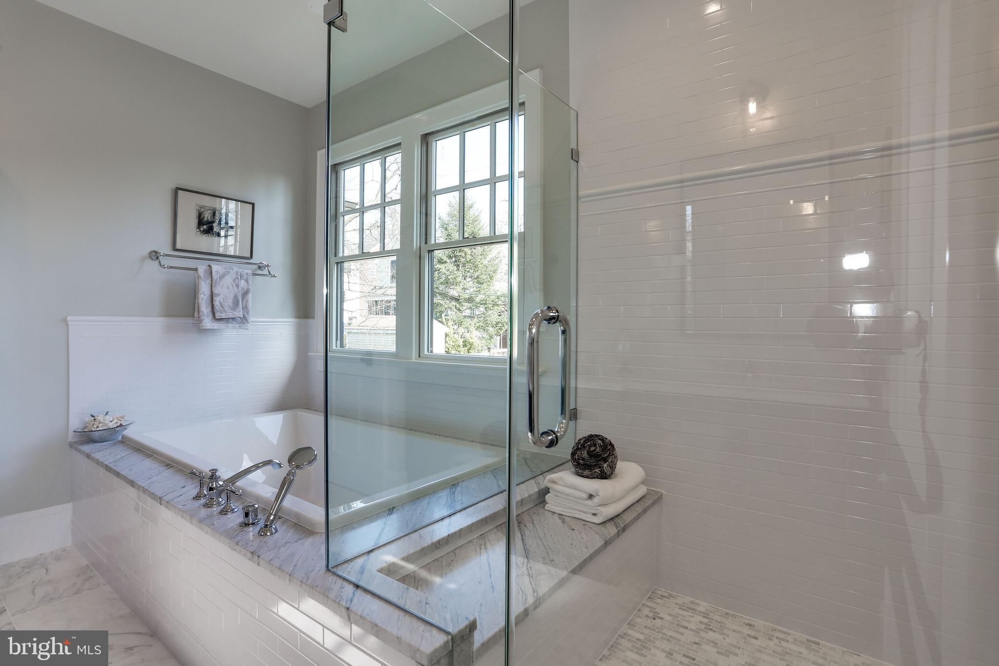 5010 25th Road North Arlington, VA 22207 - Photo 28 of 51 oversized shower with rain and hand held shower