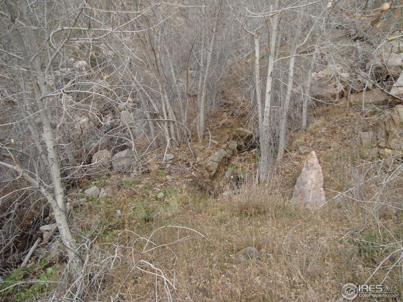 517 Lost Angel Road Boulder, CO 80302 - Photo 16 of 22 Gold Mine Area