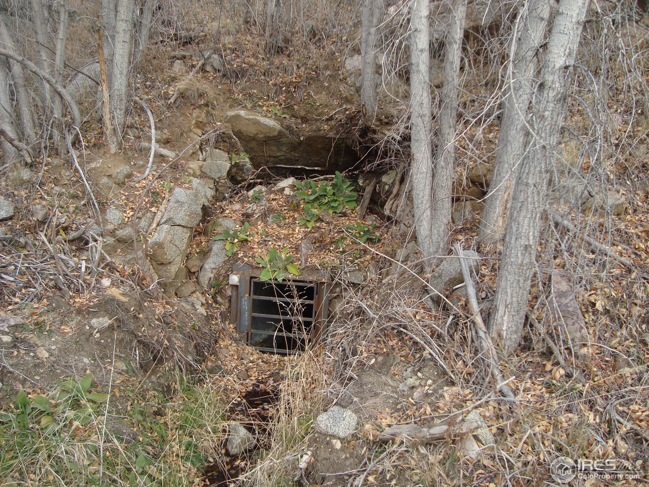 517 Lost Angel Road Boulder, CO 80302 - Photo 17 of 22 Mine Enterance