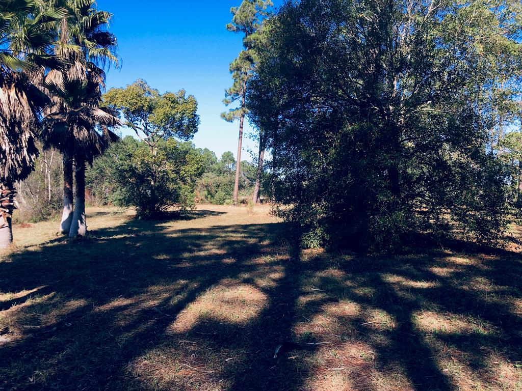 499 River Road Carrabelle, FL 32322 - Photo 20 of 21 Gallery Image 20