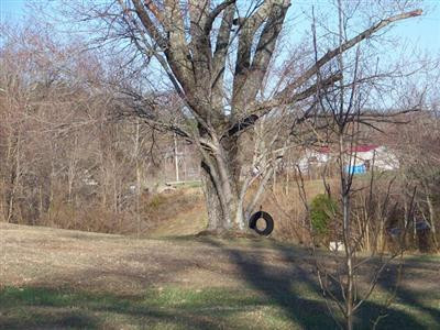 11407 Irvine Road Winchester, KY 40391 - Photo 37 of 53 Photo 37