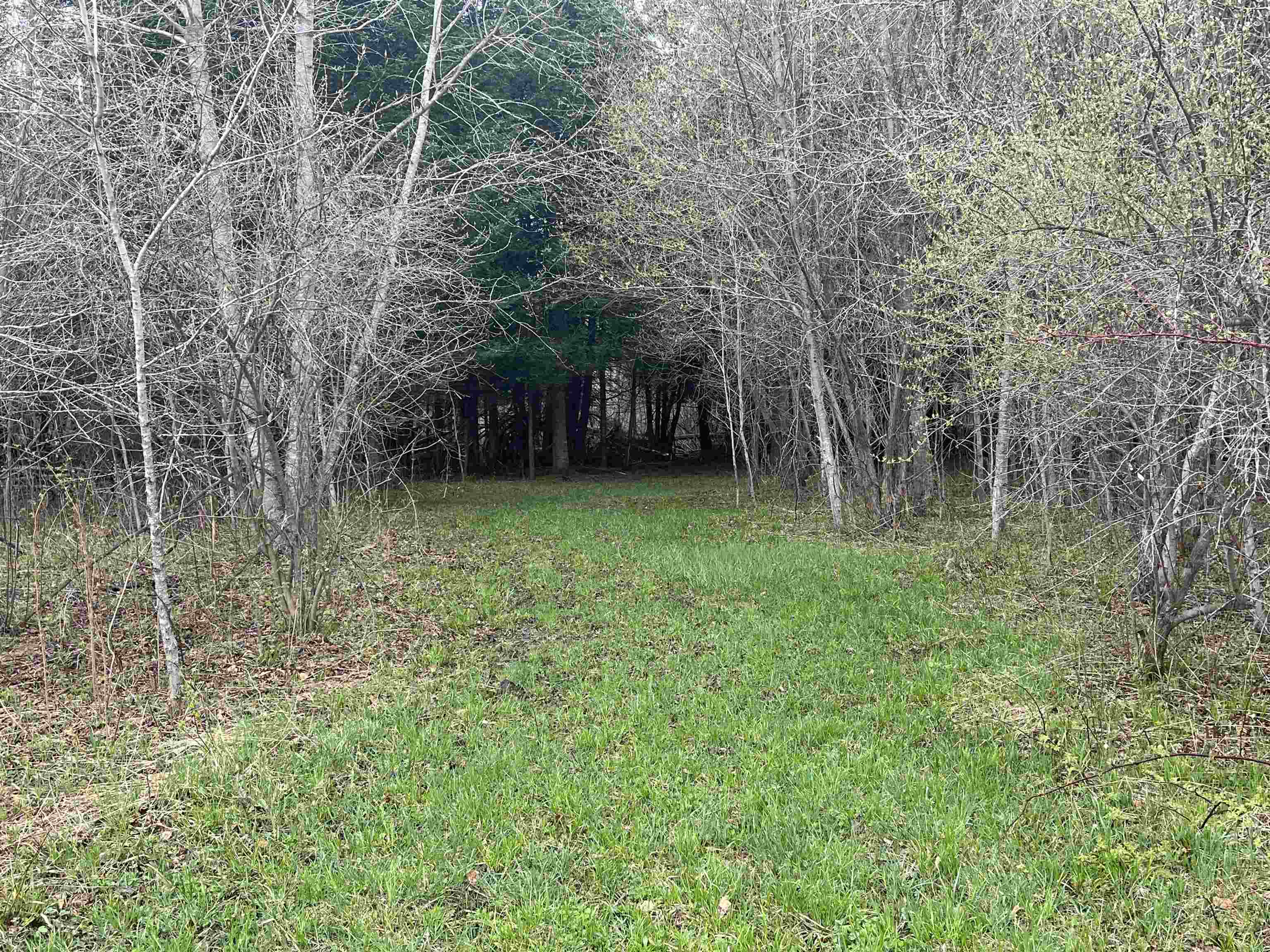 0 Wallen Road Thompsonville, MI 49683 - Photo 1 of 16 1947190-9841b29a-c130-4c30-99d1-7c4bc6f7ff46.JPG