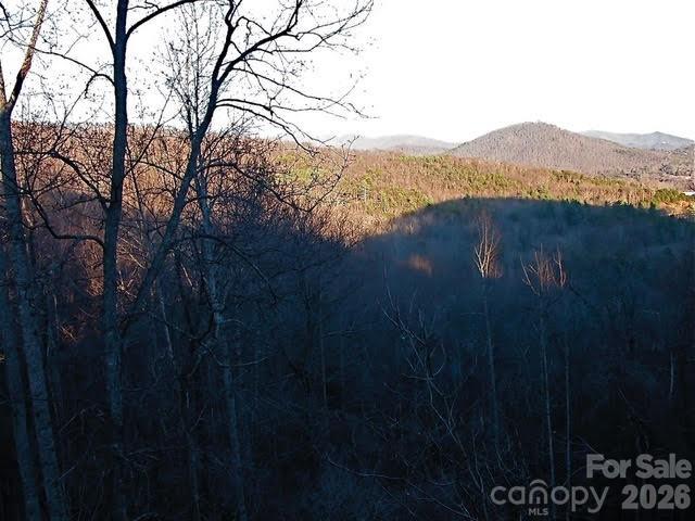 a view of an mountain with a garden in the back
