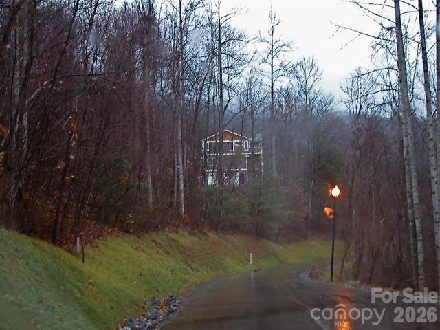 52 Hope View Road Swannanoa, NC 28778 - Photo 11 of 18 a view of outdoor space and yard