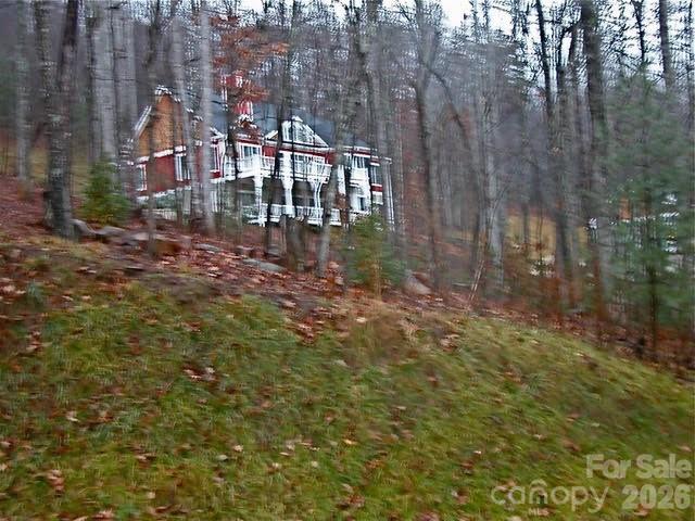 52 Hope View Road Swannanoa, NC 28778 - Photo 12 of 18