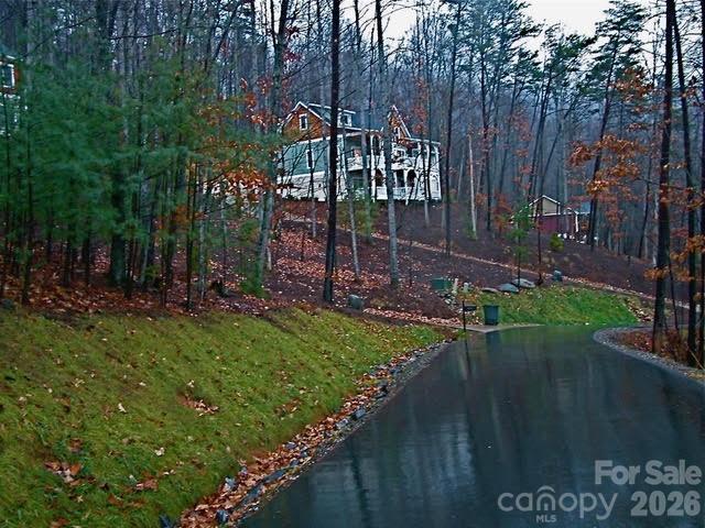 52 Hope View Road Swannanoa, NC 28778 - Photo 13 of 18 a view of a park with large trees