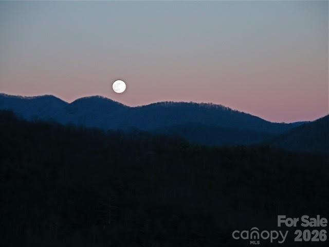 52 Hope View Road Swannanoa, NC 28778 - Photo 15 of 18 a view of outdoor space and mountain view