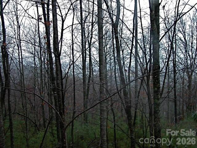 52 Hope View Road Swannanoa, NC 28778 - Photo 16 of 18