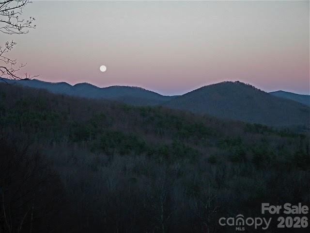 52 Hope View Road Swannanoa, NC 28778 - Photo 18 of 18 a view of a house with a mountain in the background