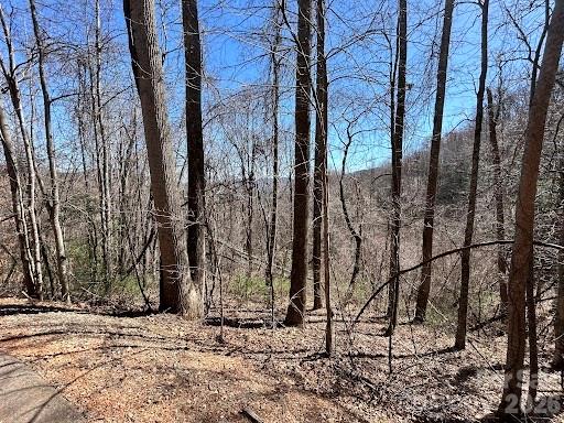 52 Hope View Road Swannanoa, NC 28778 - Photo 4 of 18 a view of a backyard of the house
