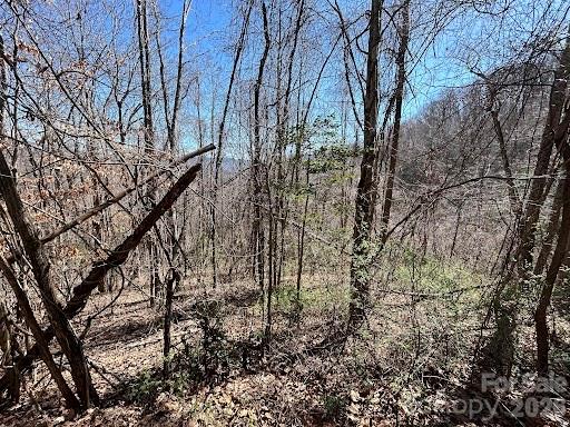 52 Hope View Road Swannanoa, NC 28778 - Photo 5 of 18 a view of a yard with large trees