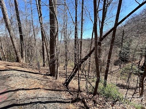 52 Hope View Road Swannanoa, NC 28778 - Photo 6 of 18 a view of a yard with trees