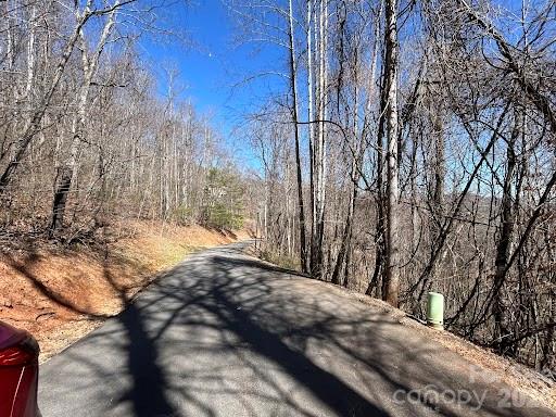 52 Hope View Road Swannanoa, NC 28778 - Photo 8 of 18 a view of backyard of a house