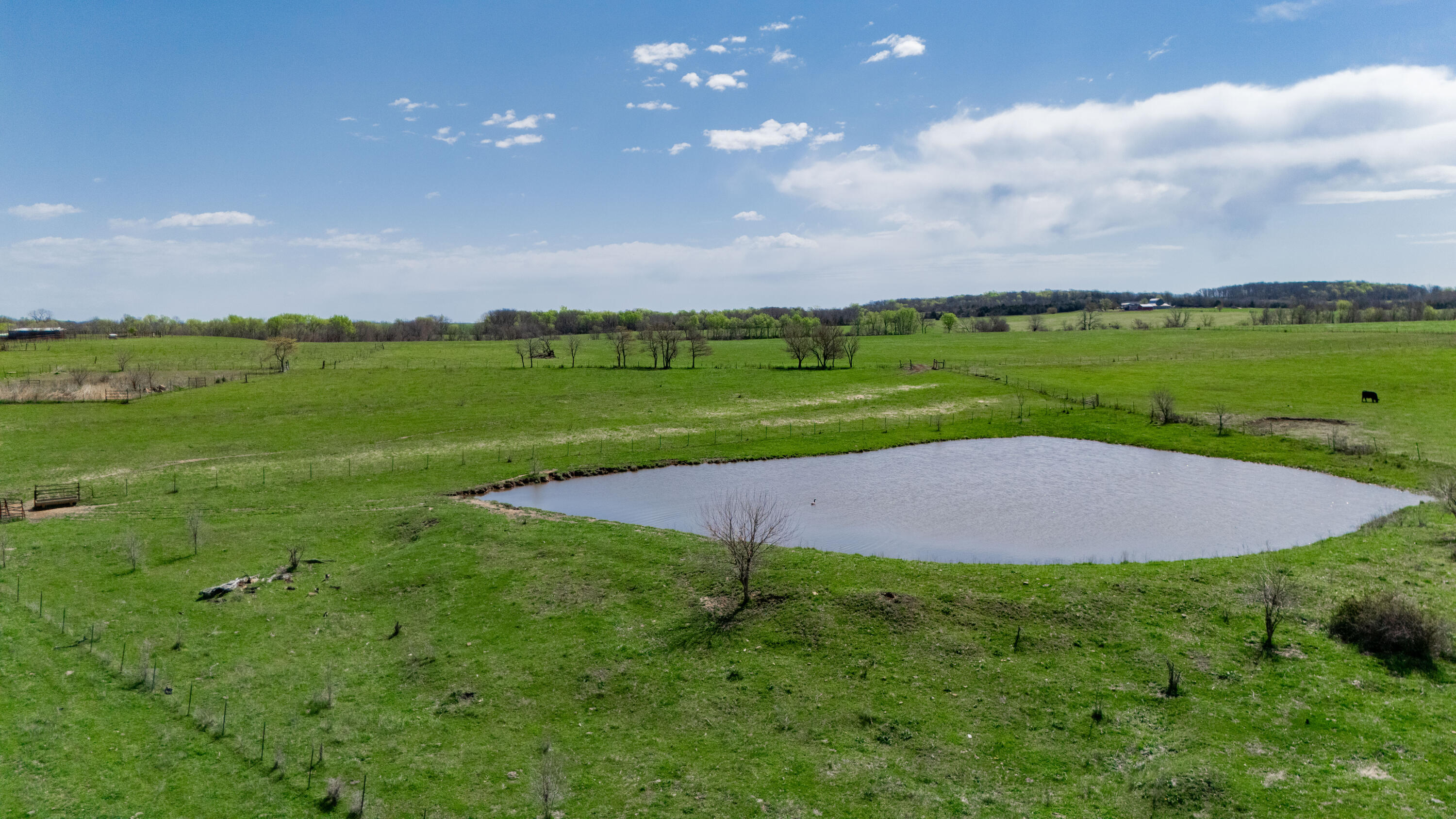2 South 156th Road Bolivar, MO 65727 - Photo 1 of 1 IMG__32