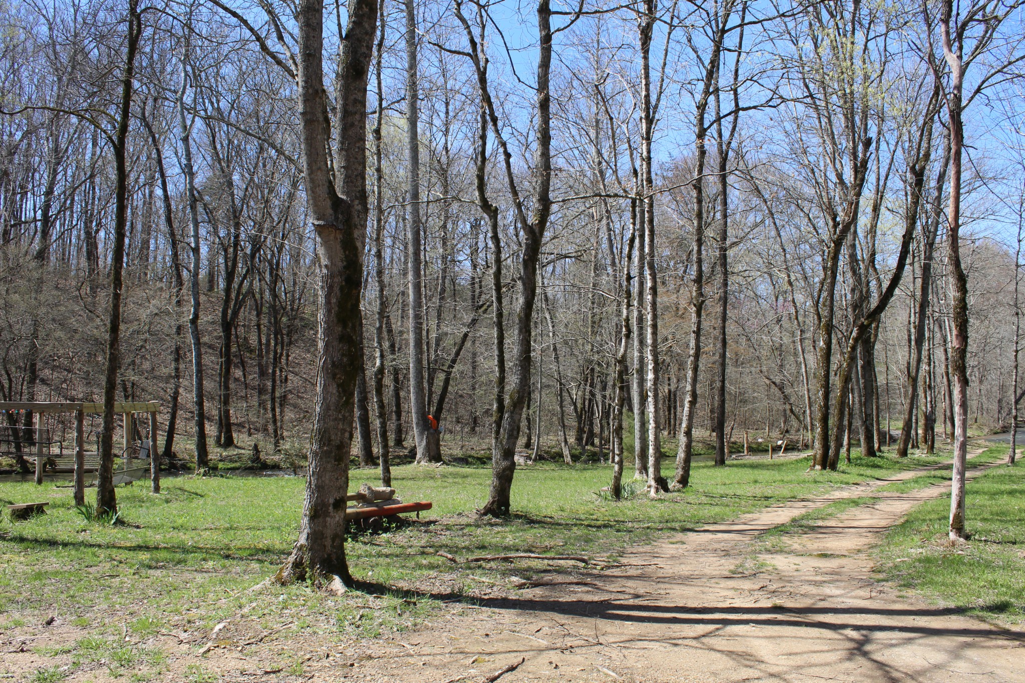 269 Spring Creek Road Lawrenceburg, TN 38464 - Photo 4 of 10 a view of a park